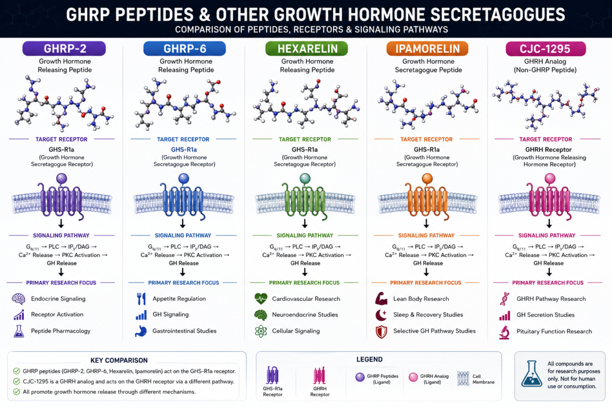 Comparison of GHRP peptides with other growth hormone secretagogues.